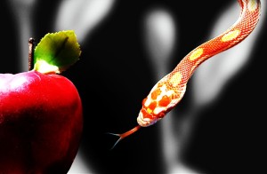 temptation-apple-and-snake